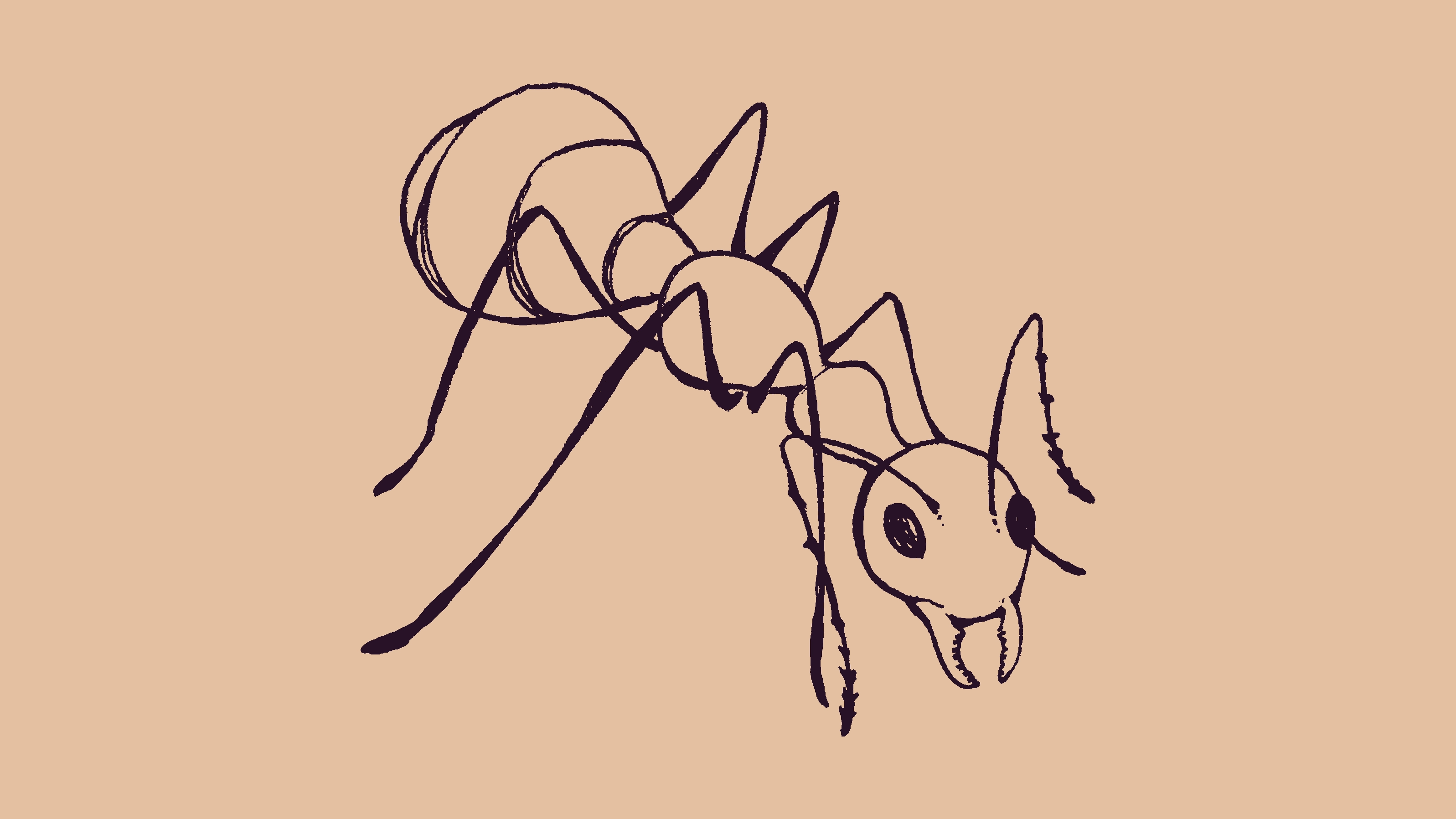 a sketch of an ant