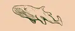 Cryptid Whales preview