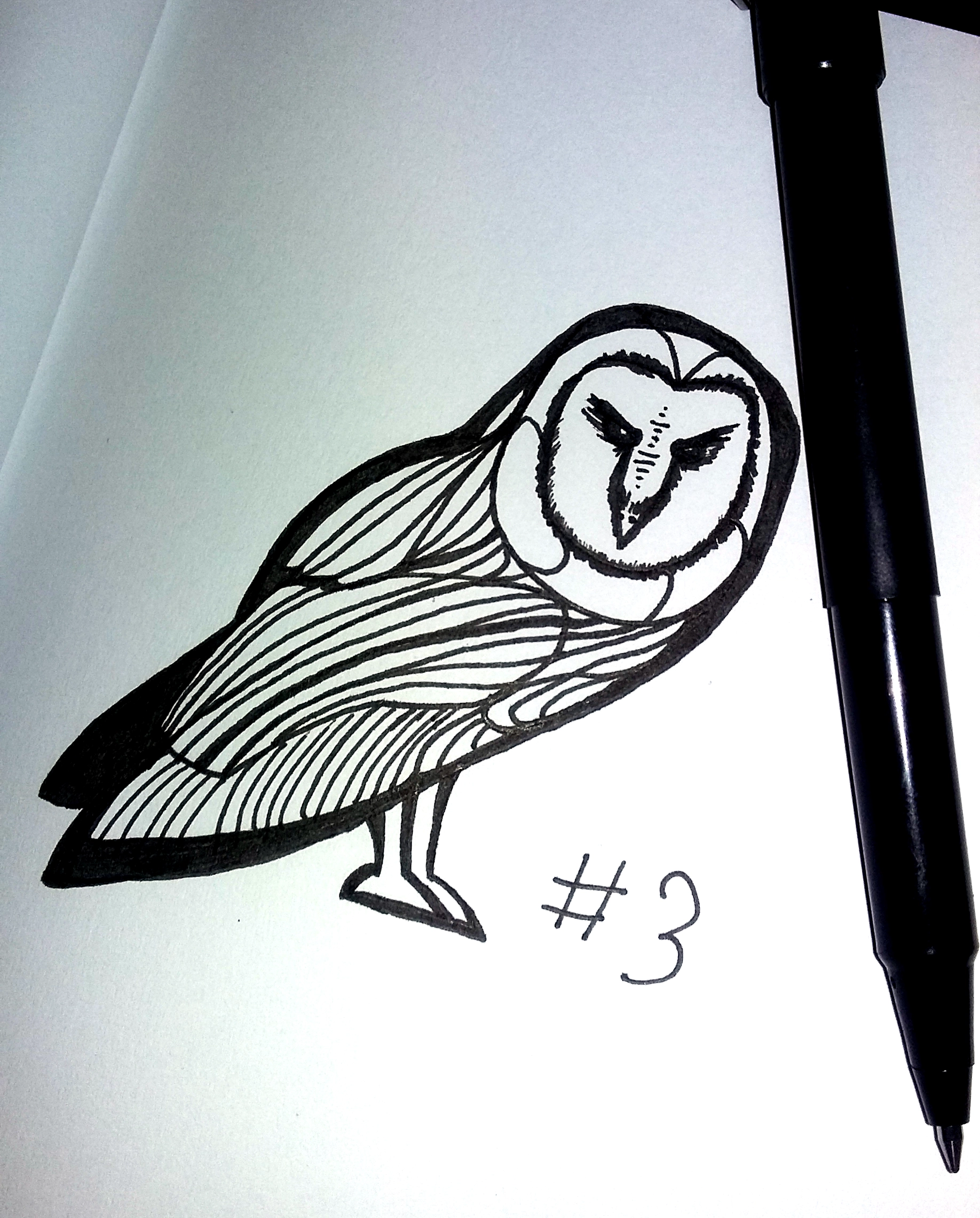 drawing of a barn owl with an angry face