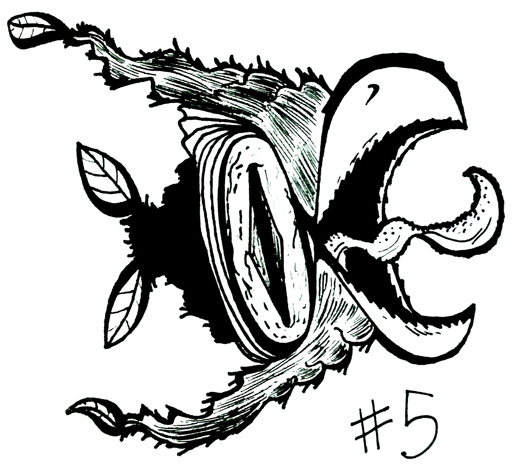 drawing of a fish-like creature with a huge eye and a serrated beak