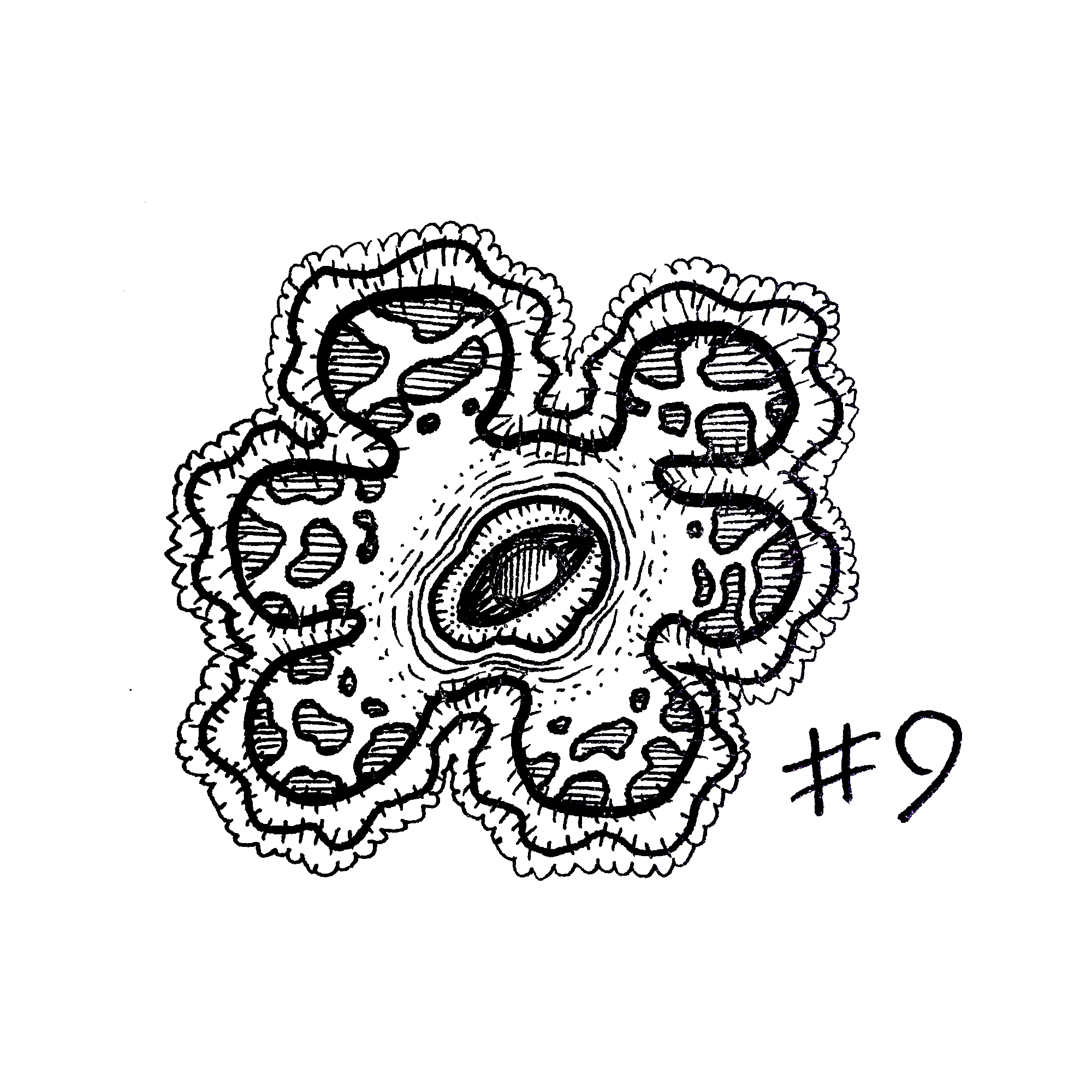 drawing of a spotted amoeba-like creature with an eye at its center