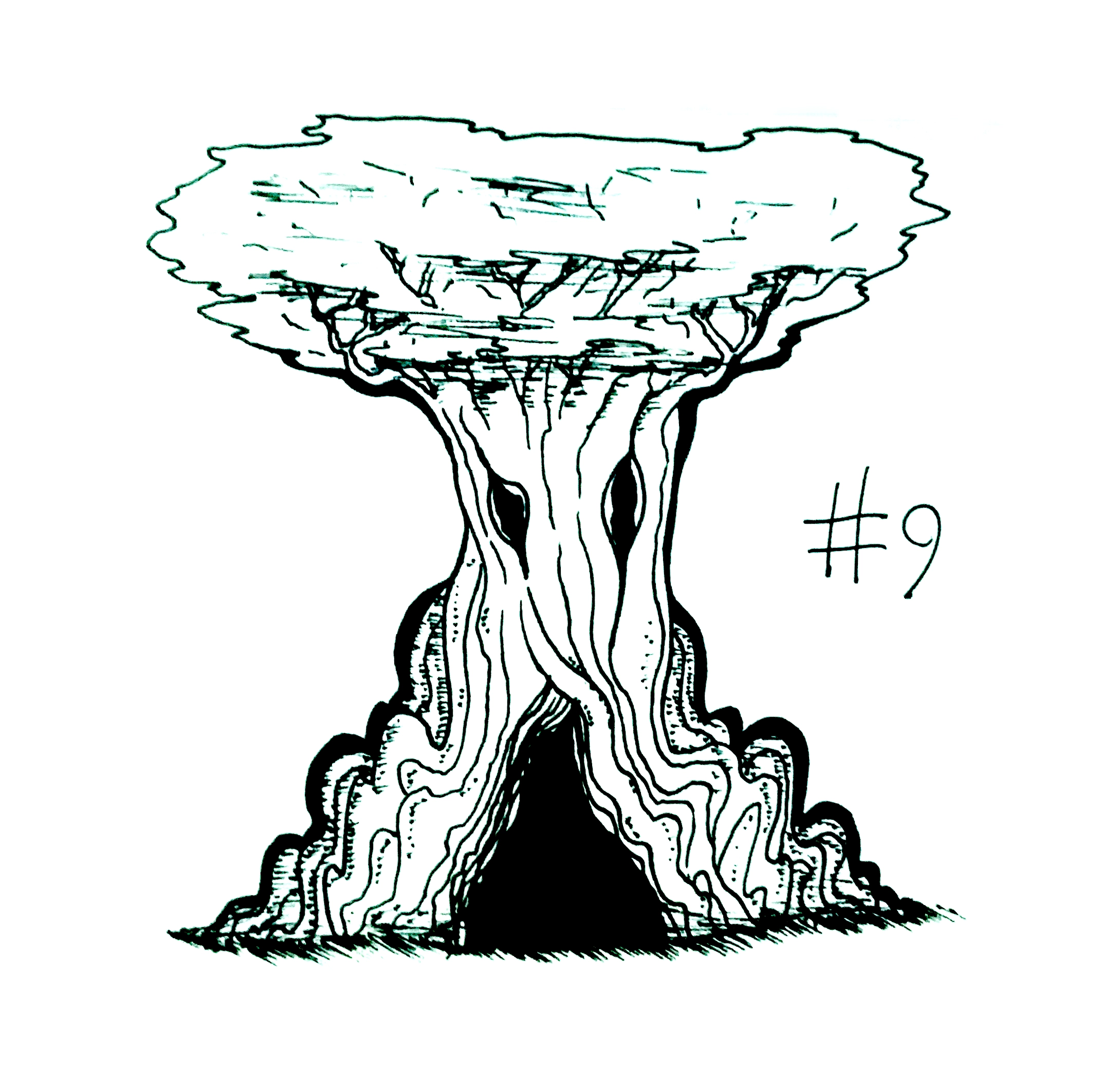 drawing of a gnarled tree with eye-like knots and a cave-like entrance at its roots