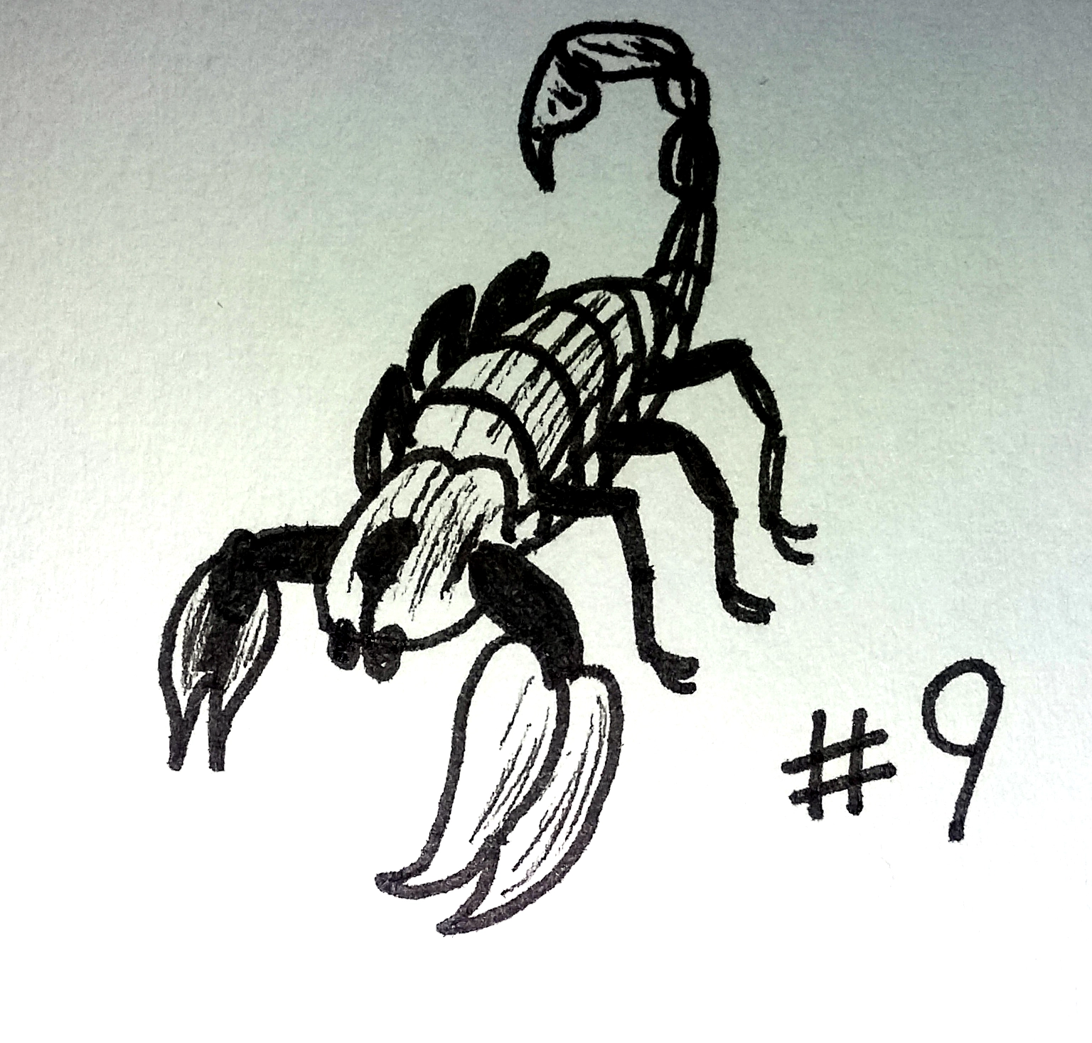 drawing of a cartoon scorpion