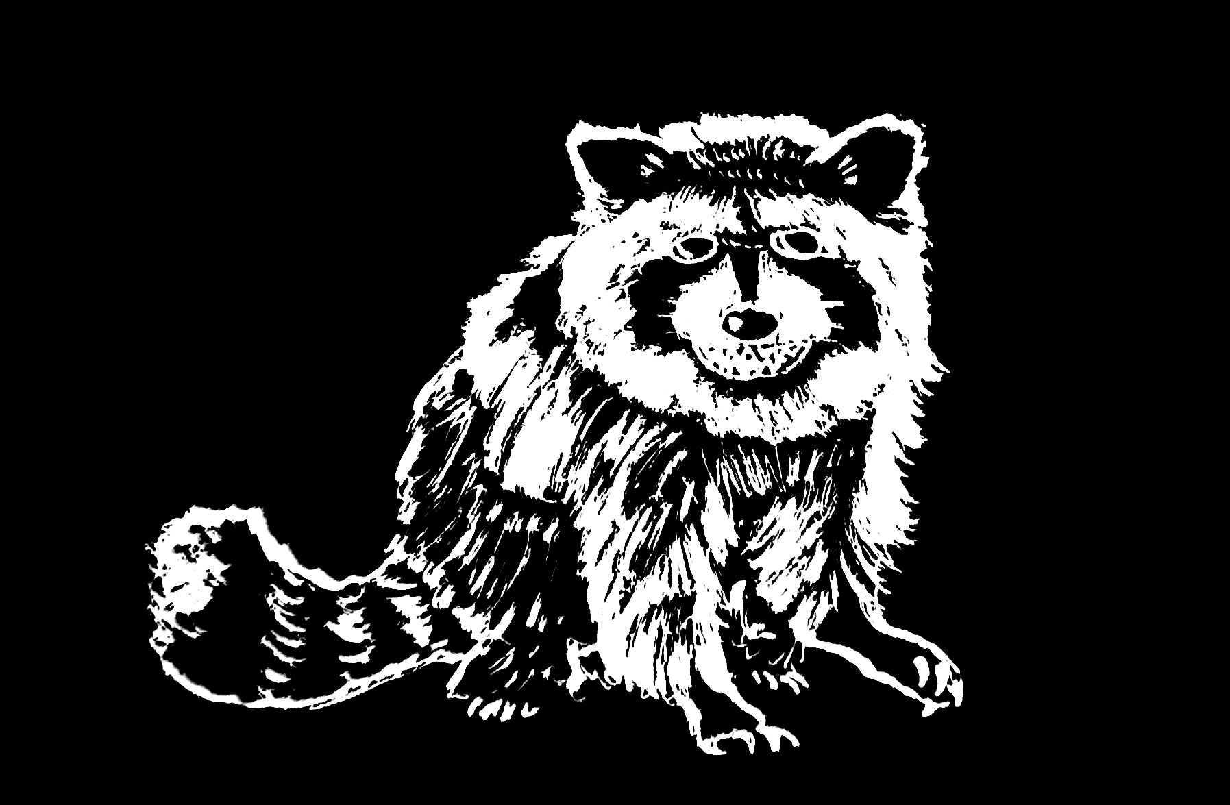 drawing of a raccoon snarling