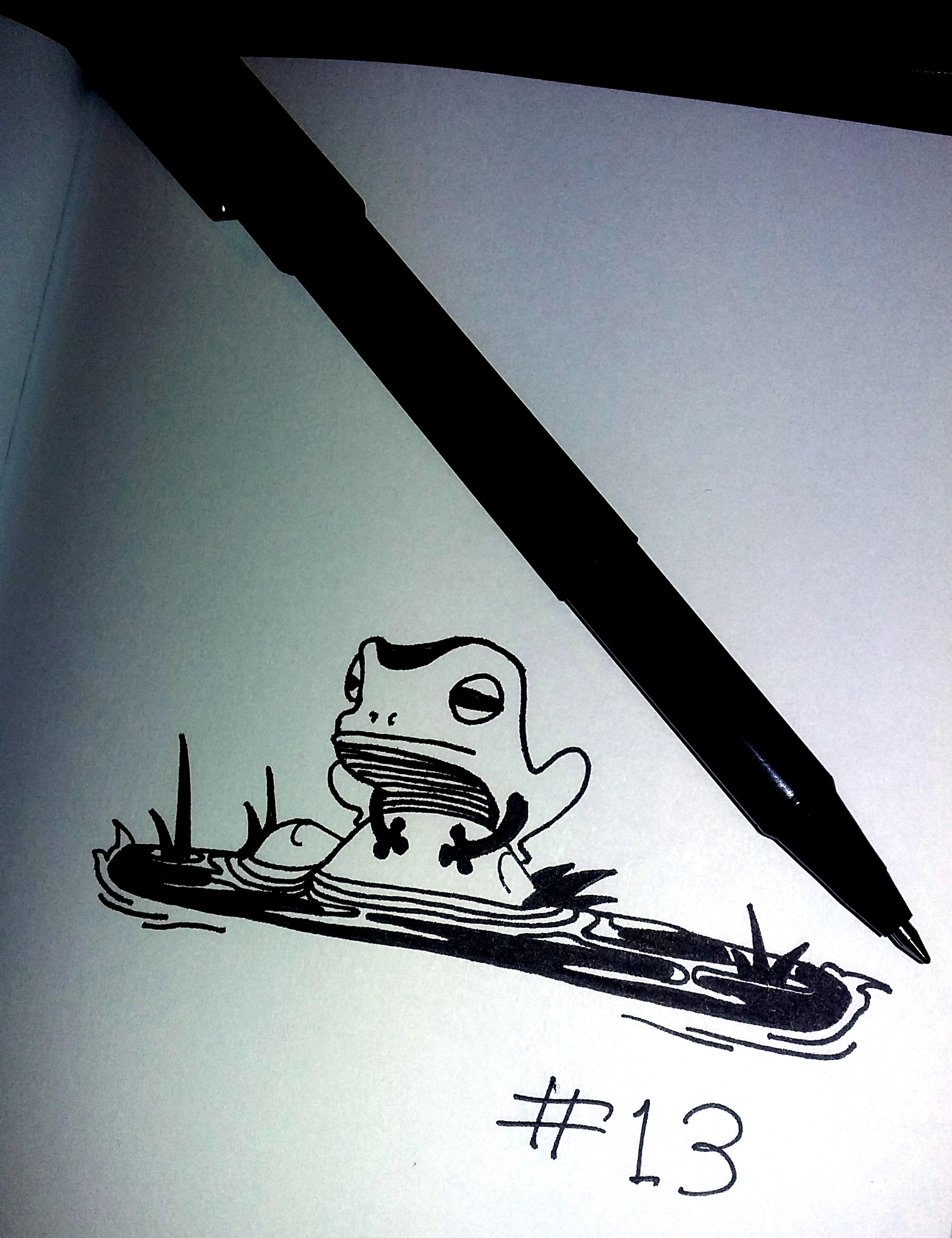 drawing of a cartoon frog sitting on a rock in a pond