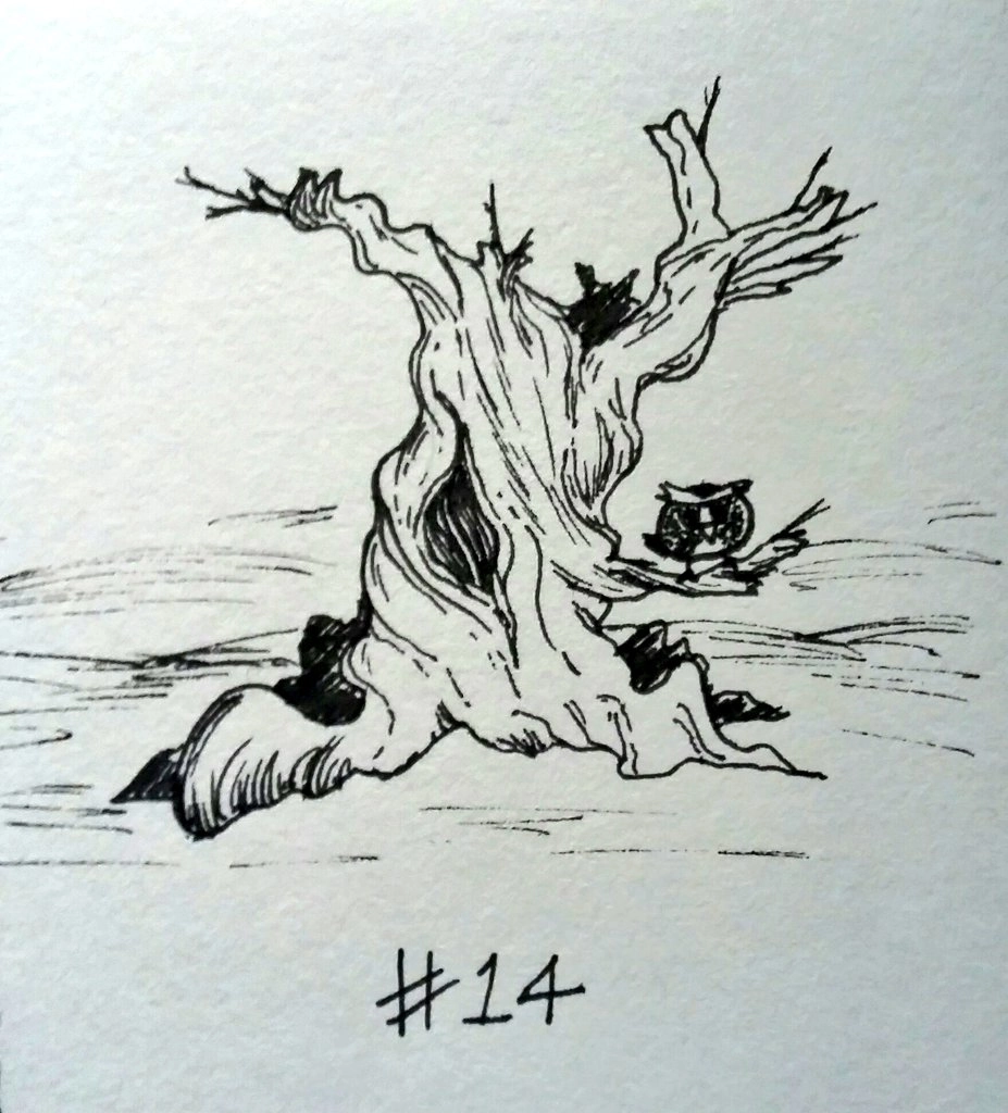 drawing of a gnarled and knotty dead tree with a little owl sitting on one branch