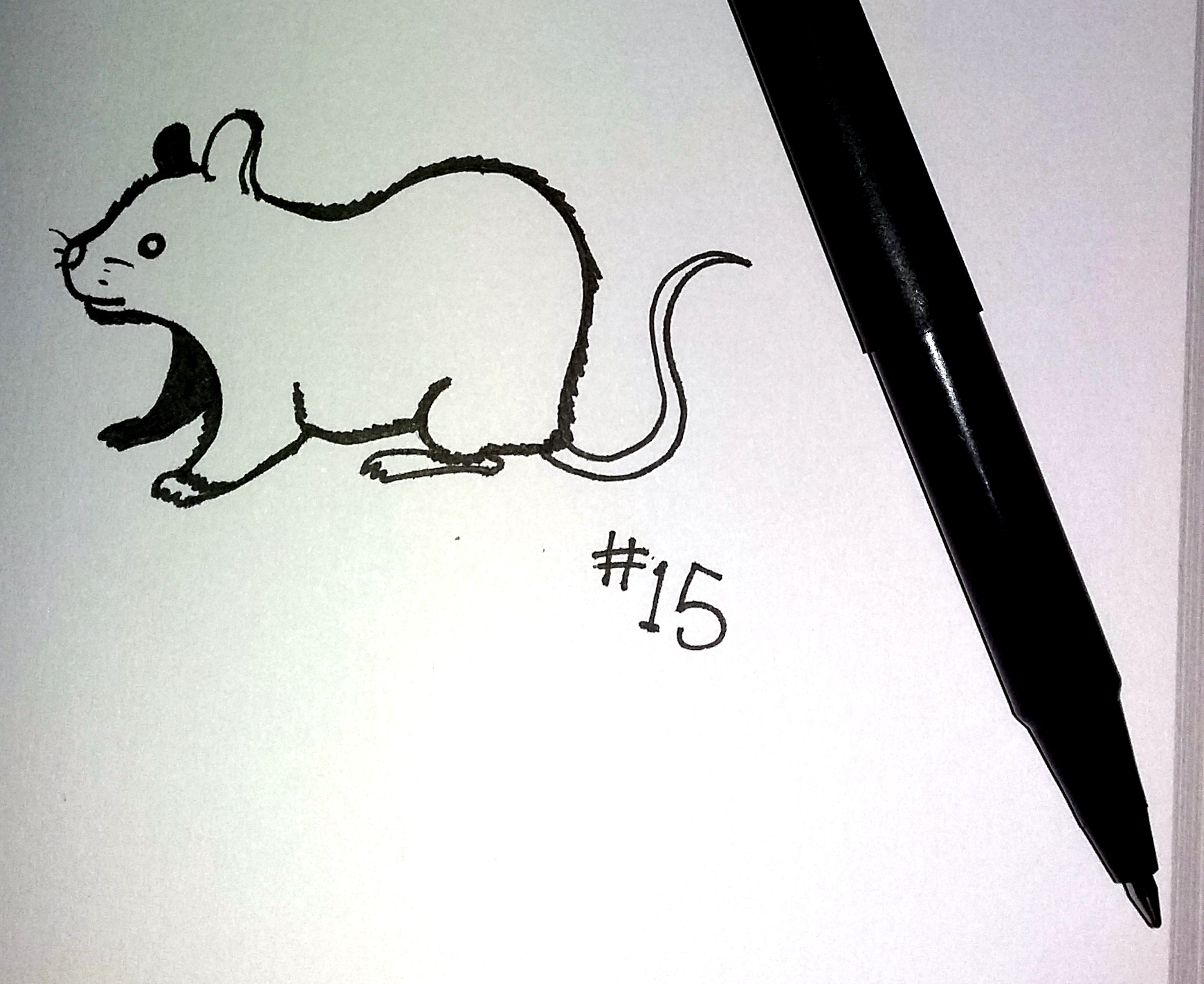 drawing of a cartoon mouse