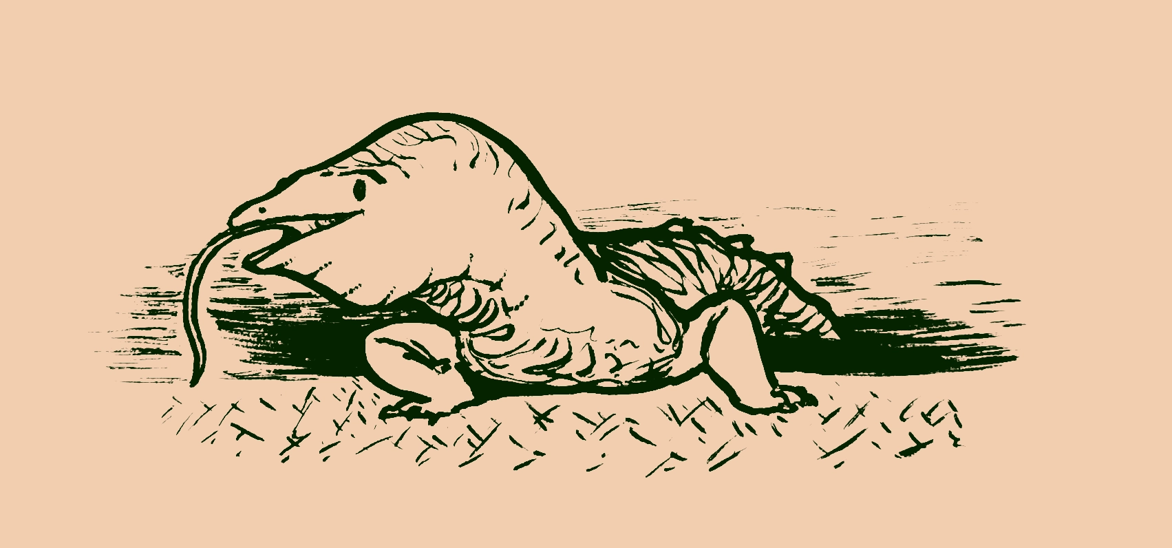 Drawing of a giant lizard crawling out of a bay