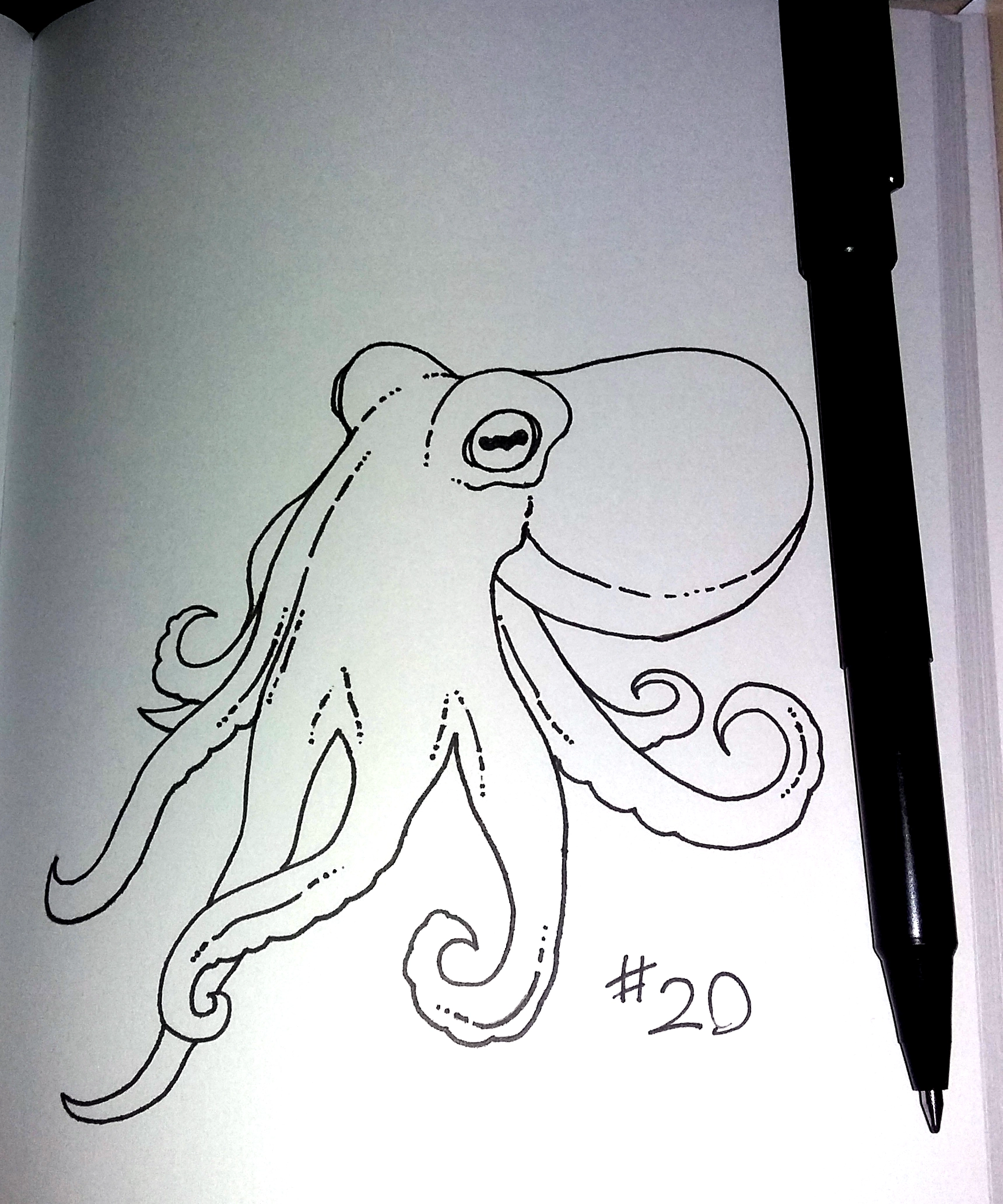 drawing of an octopus