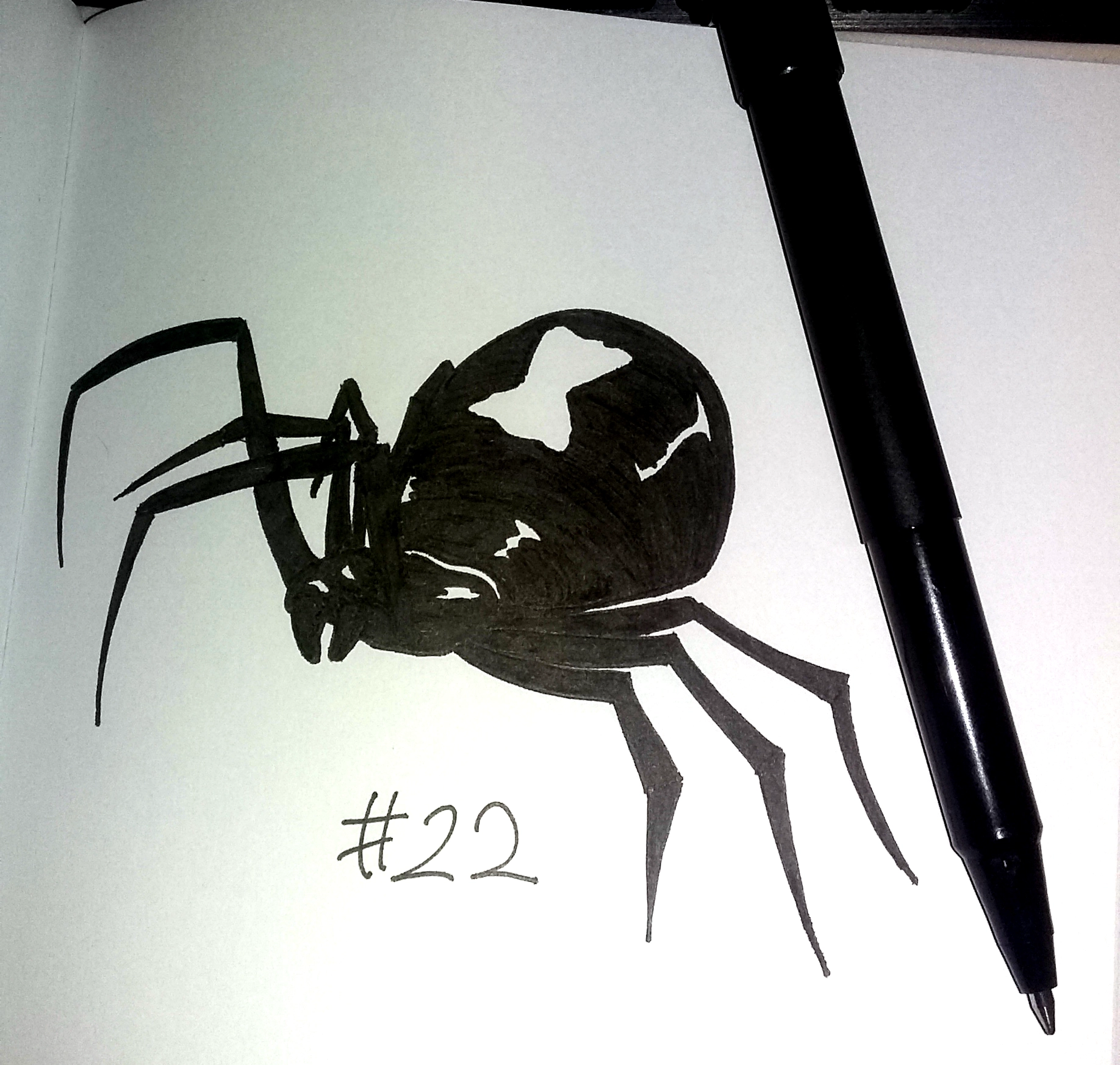 drawing of a black widow spider