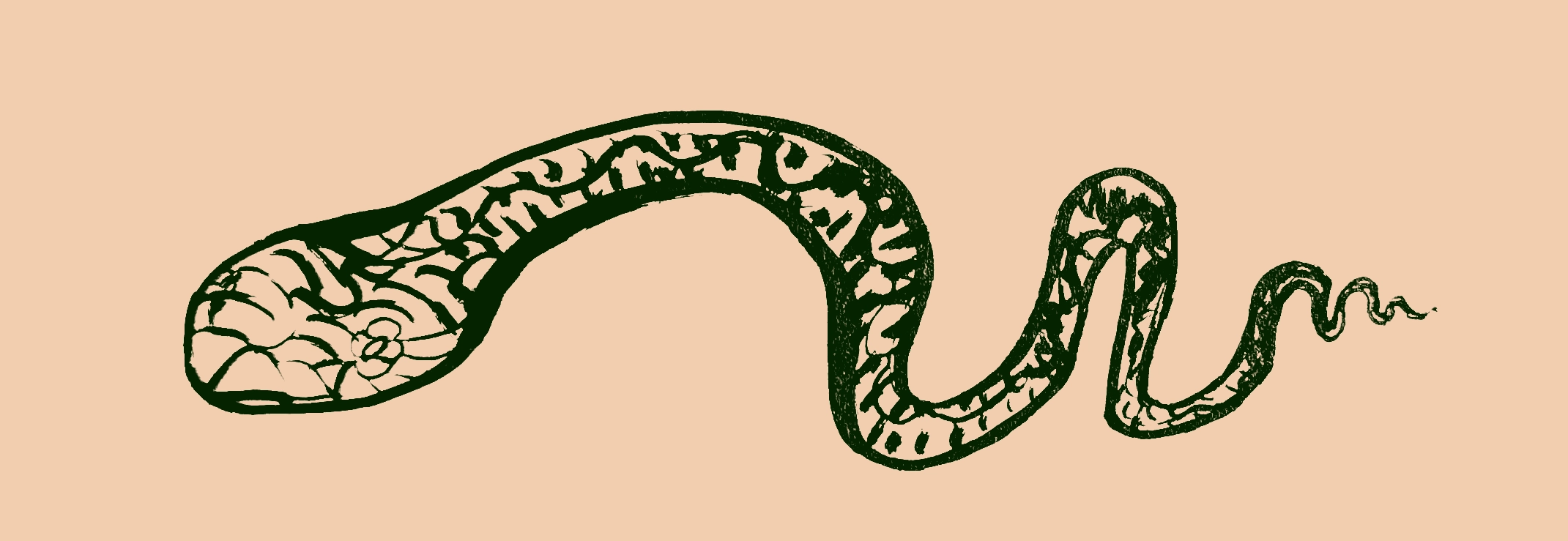 Drawing of a snake-like sea serpent