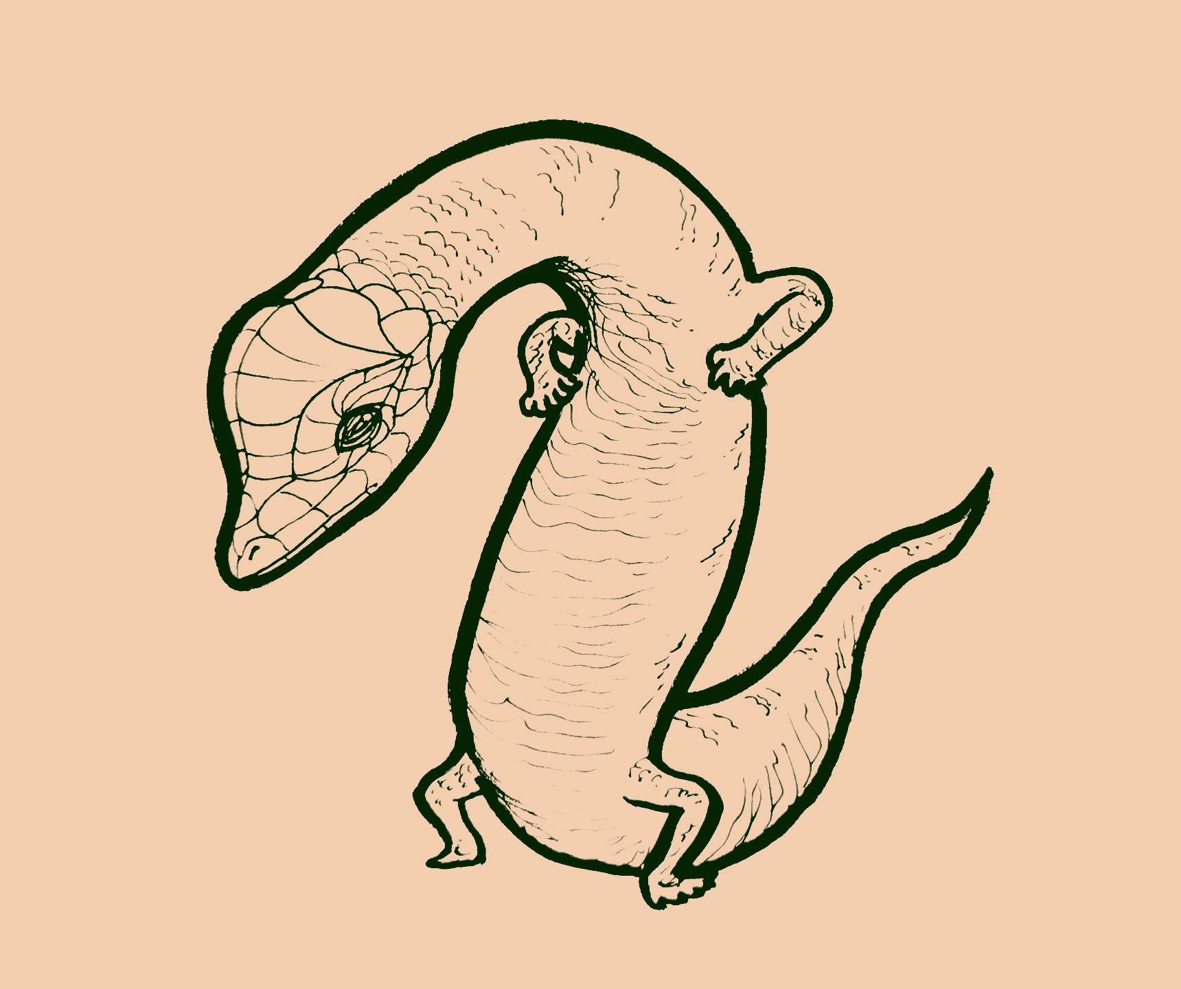 Drawing of a humanoid skink standing upright and with a long, hunched over neck