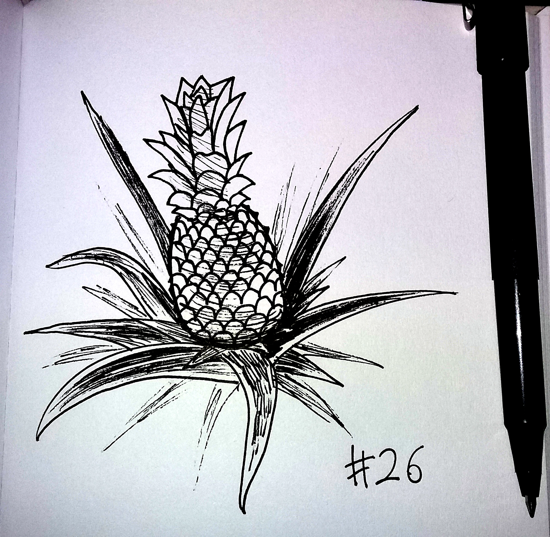 drawing of a pineapple on the plant