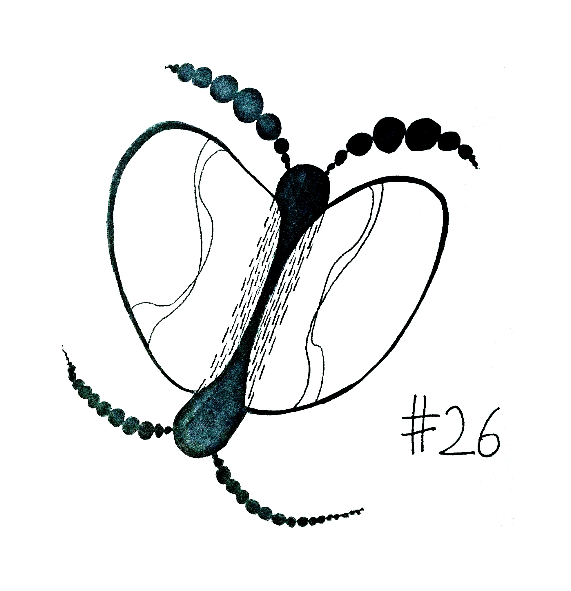 drawing of a butterfly-like creature, a thick tube with circular antennae and two wings