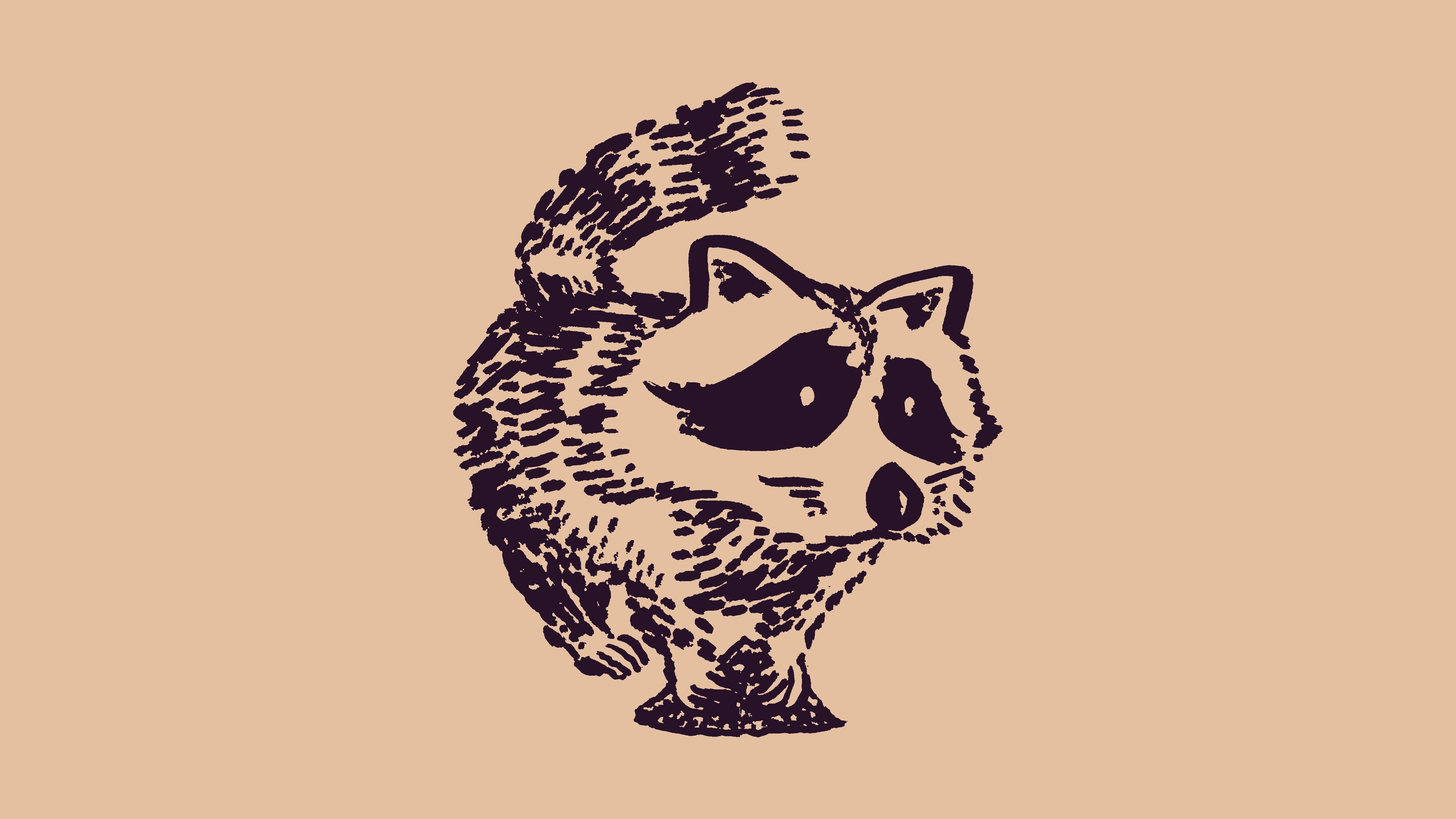 sketch of a cartoon raccoon