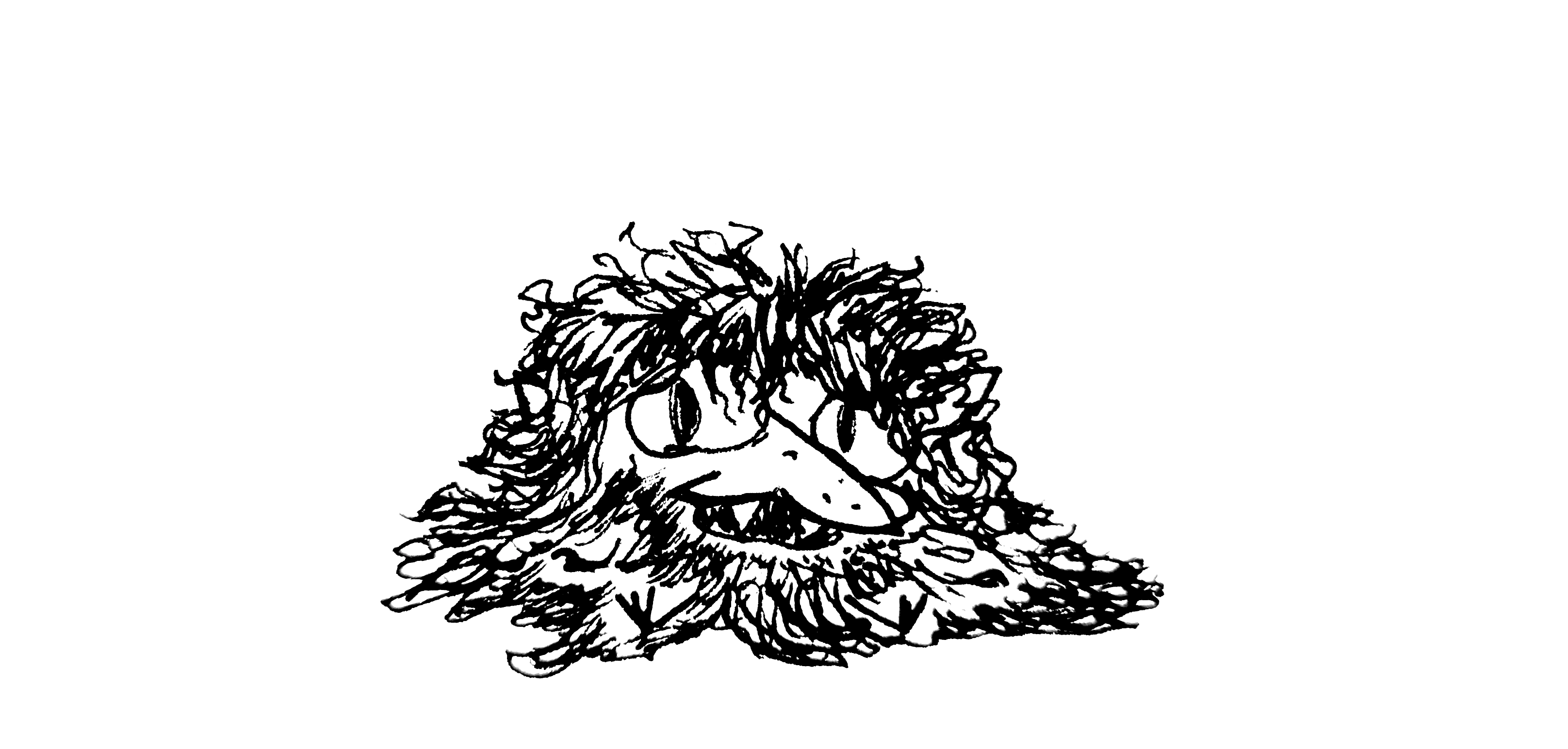 a little furry goblin sitting down with body hair spread out all around it in a clump