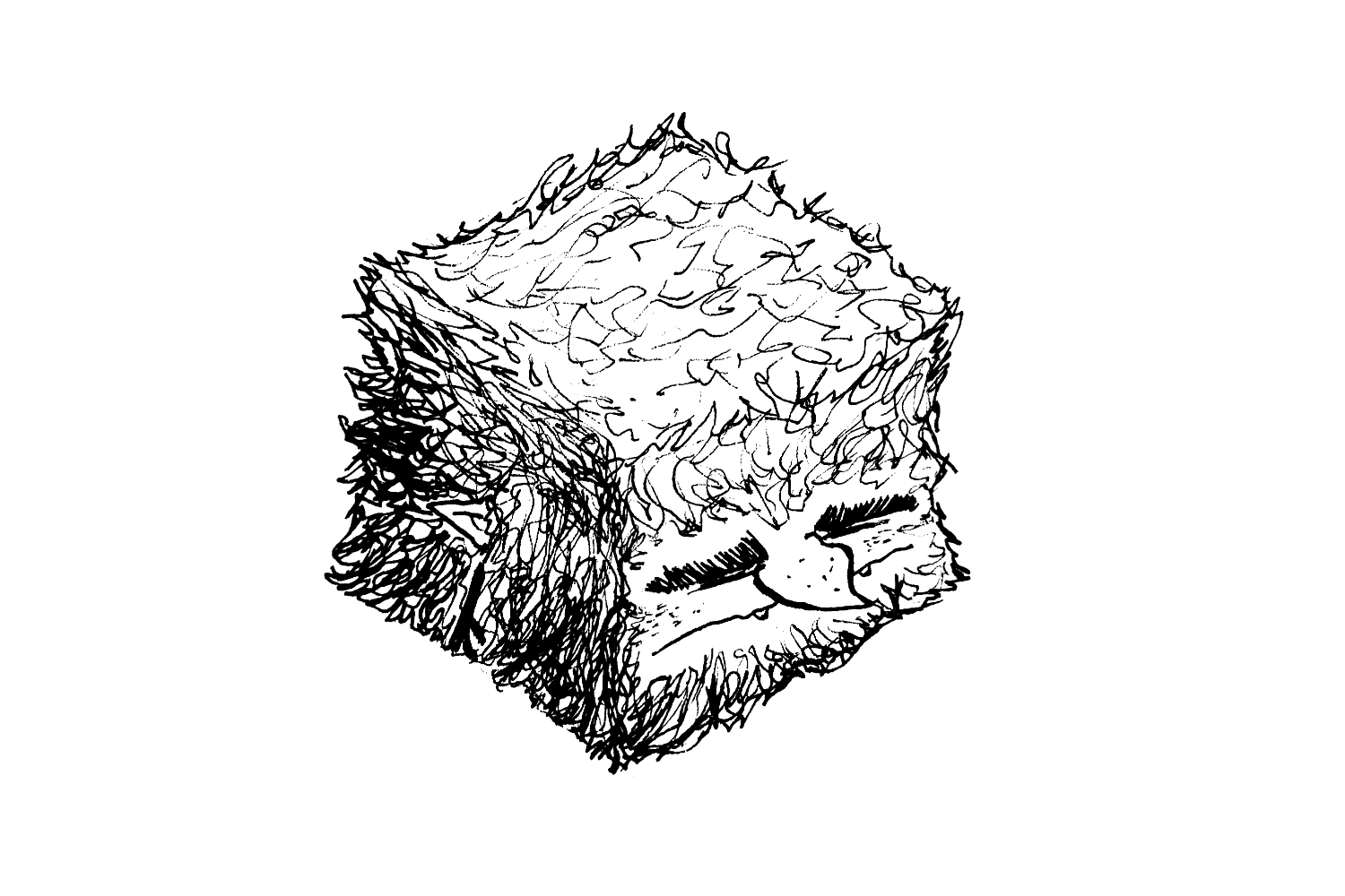 drawing of a little furry goblin (usually characteristically round) with a very cube-like body