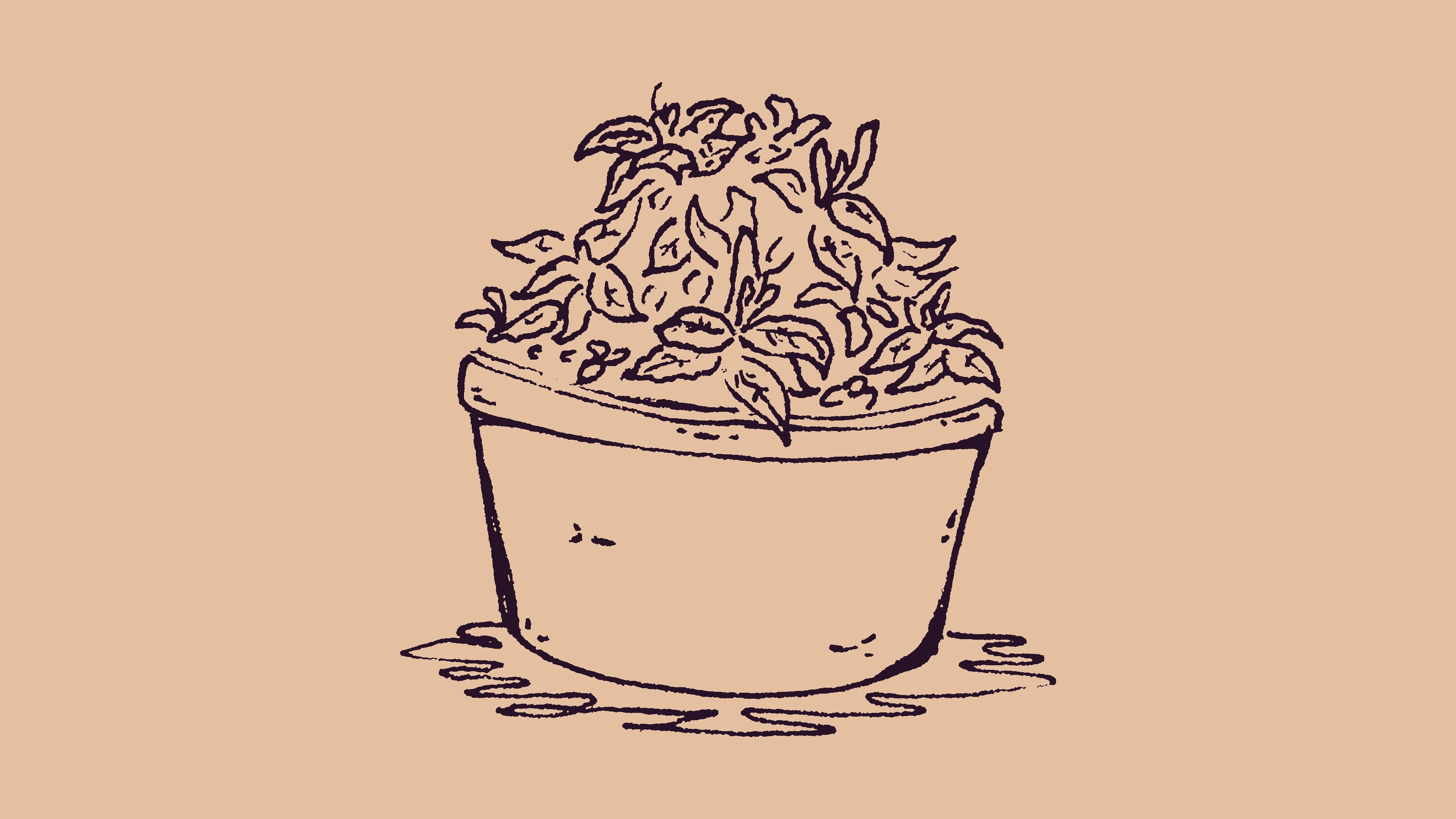 sketch of a potted plant